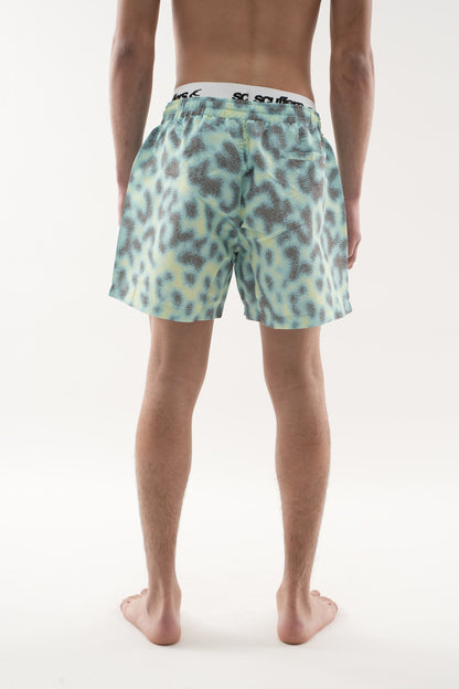 Cheetah Blue Swimpants